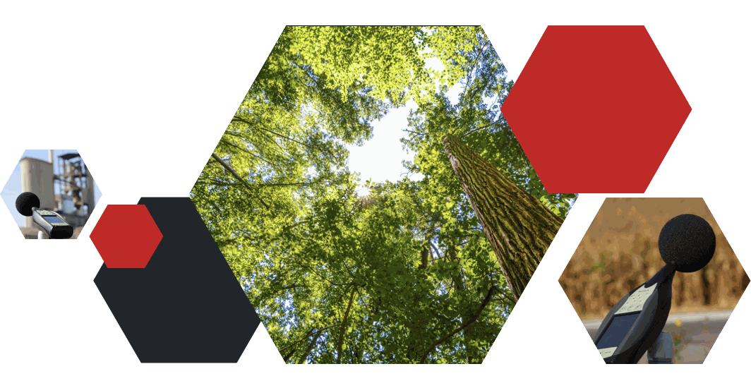 Odoo • Image et Texte